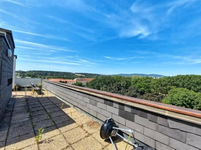 Dachterrasse mit Gloriette und Stadtblick einmalige Möglichkeit Entwicklungsobjekt