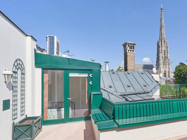 Dachterrasse mit Stephansturmblick