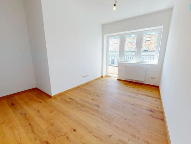Dachterrasse mit Wien rundum Blick und eine weitere Terrasse mit historischen Zwiebelturm