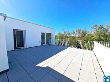 Dachterrassentraum mit Grünblick: 3 Zimmer Neubauwohnung in Stammersdorf