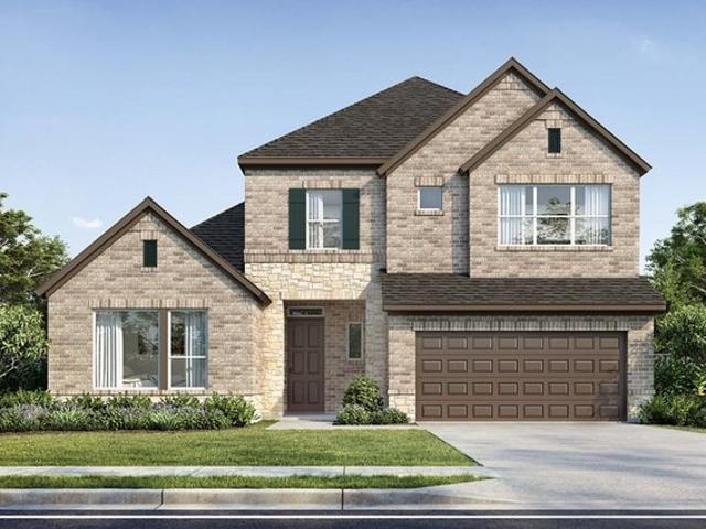 Daffodil Plan Meridiana Ascent Collection Community