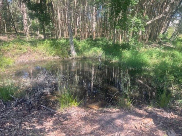 D'AGUILAR PRIME POSITION 2½ ACRES