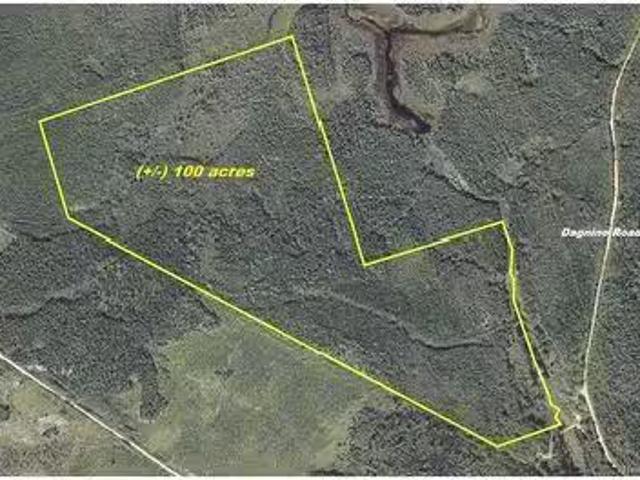 Dagnino Rd, Snider Mountain, NB, E5P 1J8 vacant land for s.
