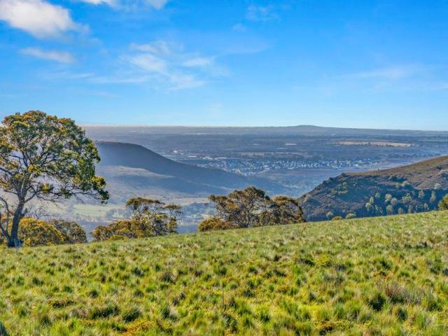 Daintree Farm A Spectacular Escape On The Doorstep Of Melbourne!