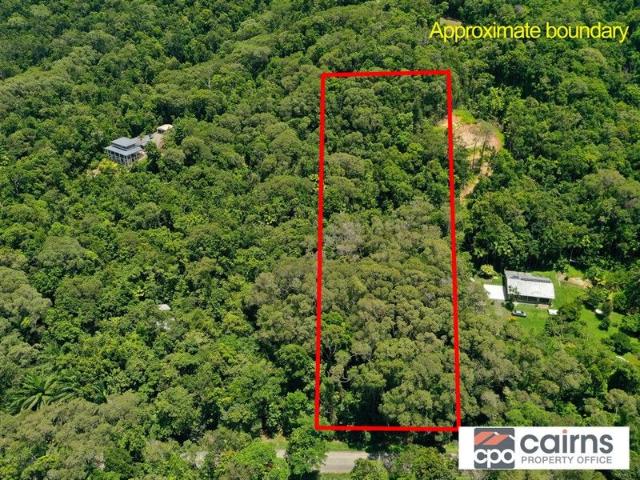 Daintree Magic 2.545 Acres Ready To Build Your Dream