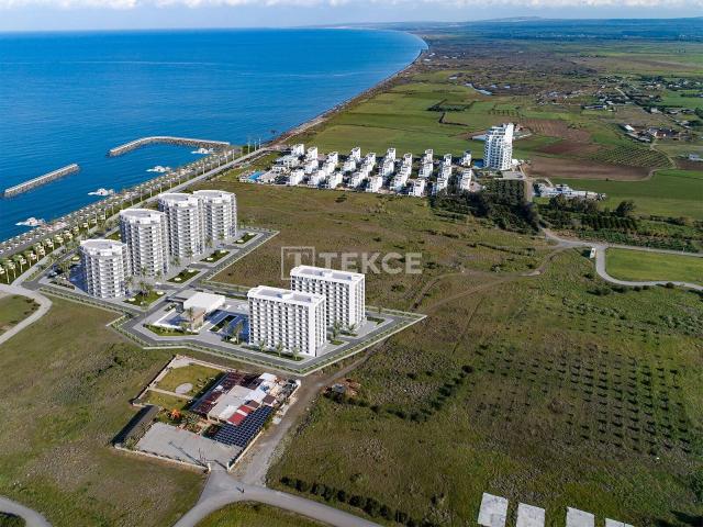Daire 2+1 Güzelyurt, 176246