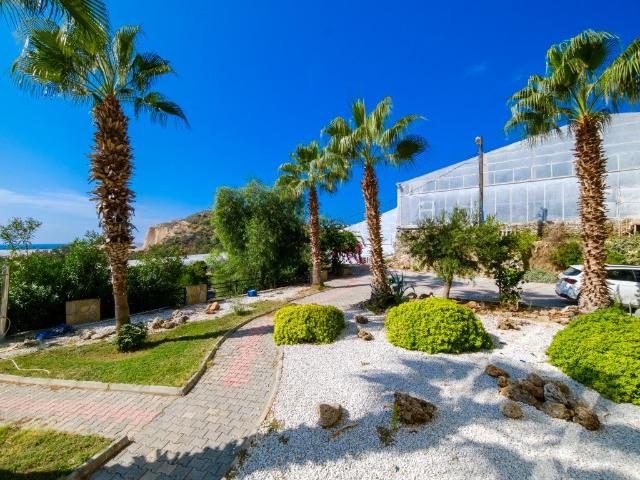Daire Demirtaş, Alanya, Antalya, Türkiye 145161