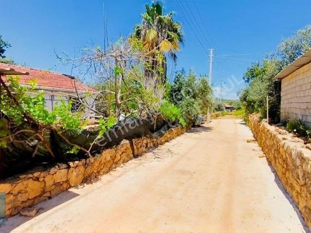 Daire Fiyatına 865m2 Müstakil Arsası Ve Ev