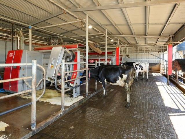 Dairying Made Easy!