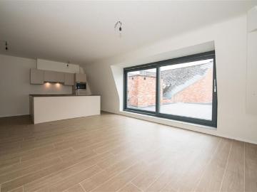 2550, Arrondissement de Anvers, Province de Anvers, Flandre