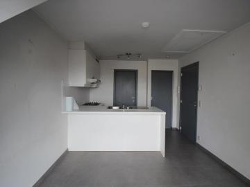 2940, Arrondissement de Anvers, Province de Anvers, Flandre