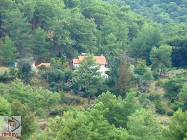 Dalyan Gökbelde Satılık Müstakil Bahçeli Villa gbk03