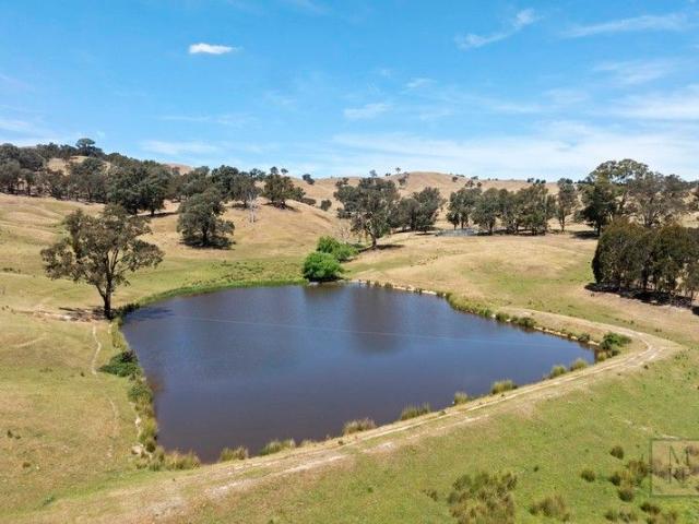 'Dalhaven' 688 Acres in Bonnie Doon