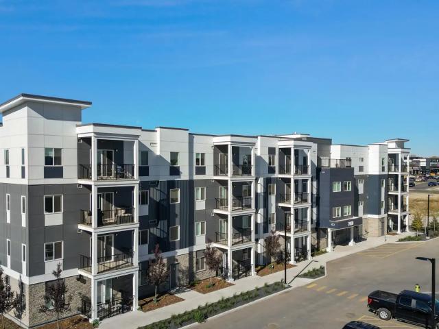 D'arcy Heights
