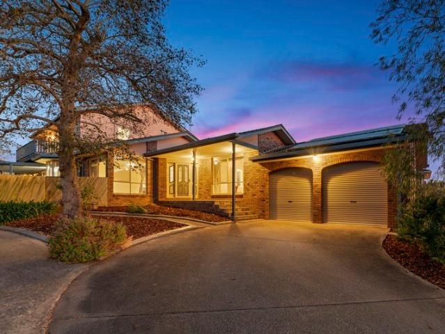 DARNUM'S DELIGHTFUL & DARING FAMILY HAVEN