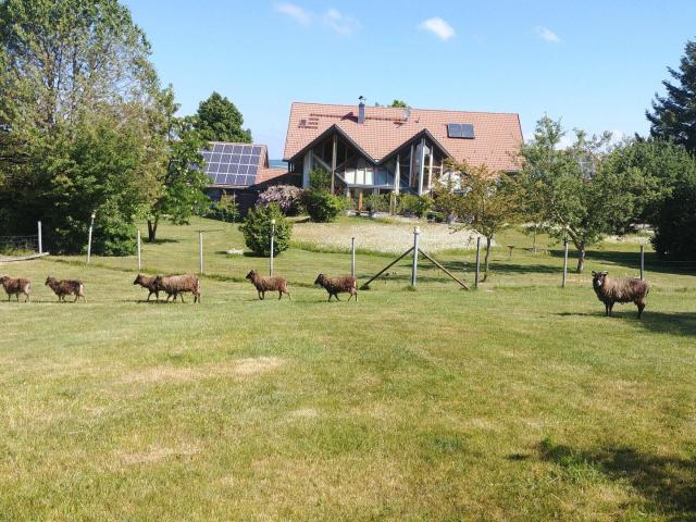 Das besondere Haus, großes Grundstück, Tiehaltung, Pferde Schafe o.ä dort wo andere Urlaub machen