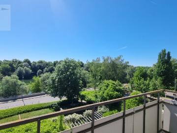 Das könnte Ihr Ausblick werden: 3 Zimmer Wohnung mit Blick auf die Donau