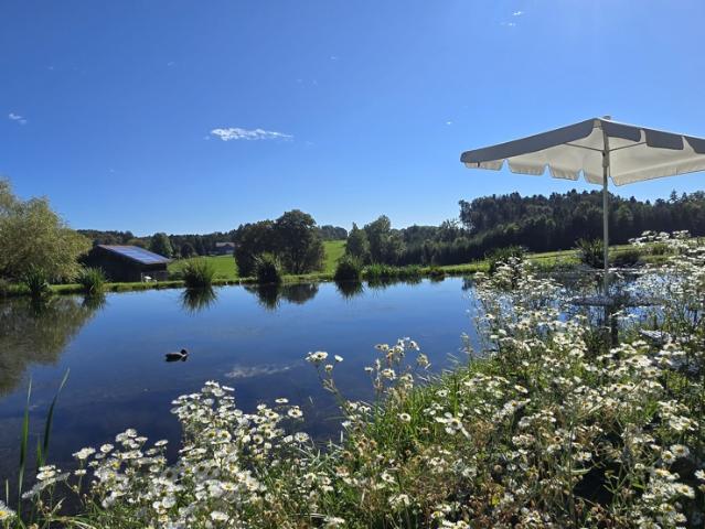 Das Haus am See traumhafter Landsitz und Refugium eines namhaften Künstlers dessen Dreiseithof mit Weitblick im Rottal