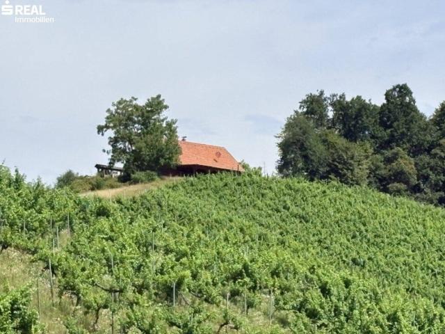 Das ist DIE Gelegenheit für Weinbauern und solche die es werden möchten, Liegenschaft in Traumlage Südsteiermark