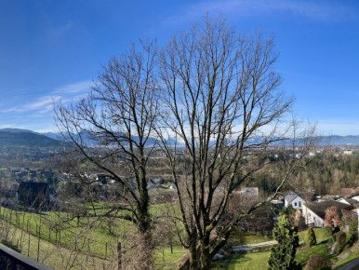 House for rent in 6921 - Garten, Terrasse