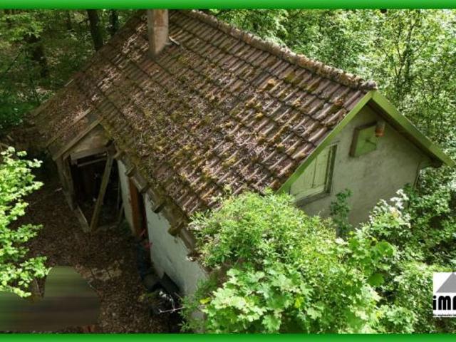 das Wochenendhaus im Wald