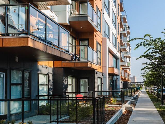 Dauk Commons at Stadium Yards 1 Bedroom Apartment for Rent at 8455 106a Ave Nw, Edmonton, AB T5H 0X4 Boyle Street