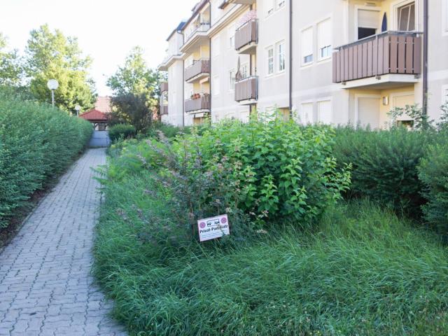 DG Wohnung ohne Lift