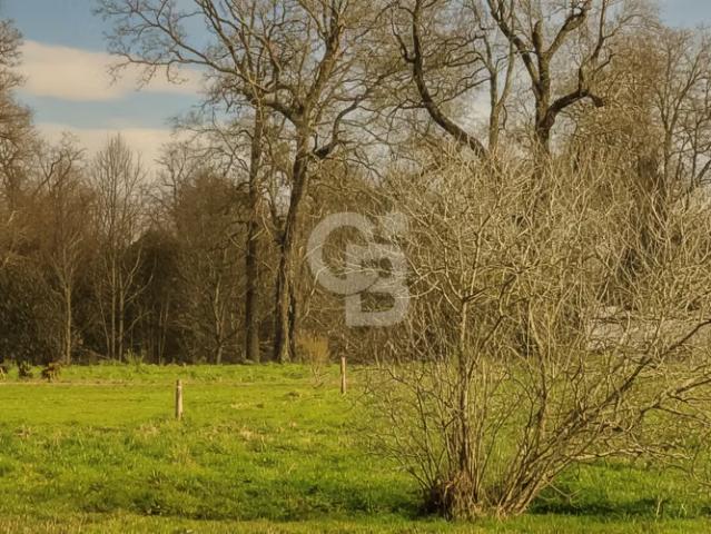 De Ensueño con Vistas en Comuna de Osorno | 0 dormitorios por 65000. 00 en Osorno