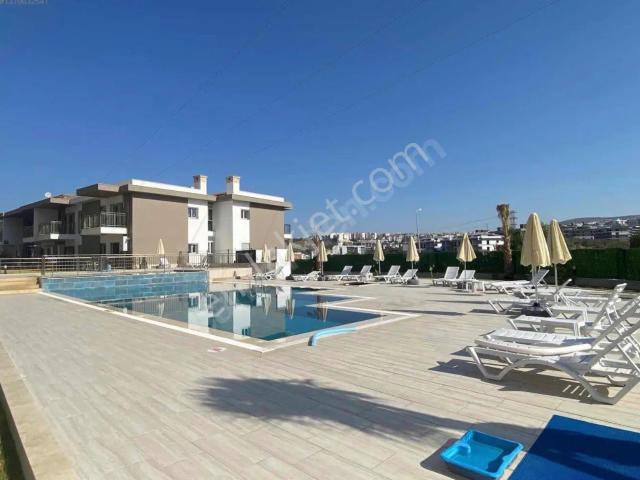Değirmendere'de 3+1 Havuzlu Sitede Kiralık Daire