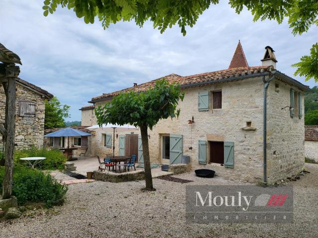 Demeure De Charme Du Xvii siécle En Quercy Blanc Sur Une Hau. 320m² Castelnau Montratier