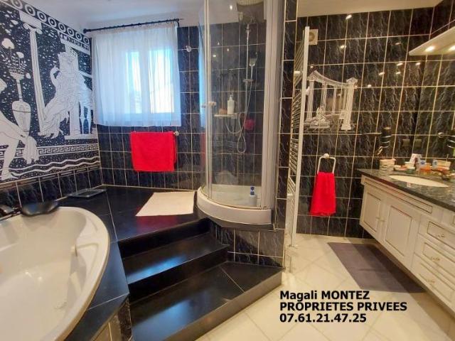 Demeure de prestige MARAYE EN OTHE 10160