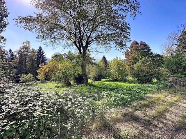 Demeure historique 1,5ha Lourdes 426m² Lourdes