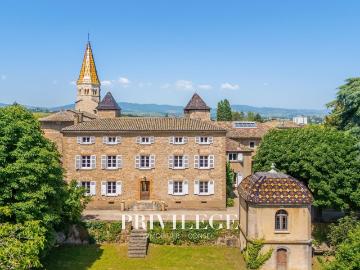 Demeure Historique D’Exception Aux Portes De Lyon 520m² Limas