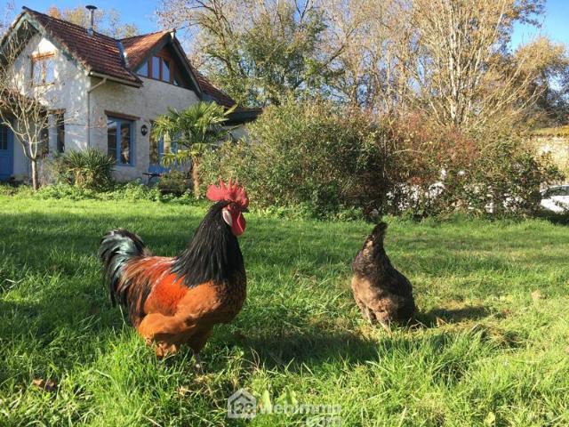 Demeure 315m² Lannepax
