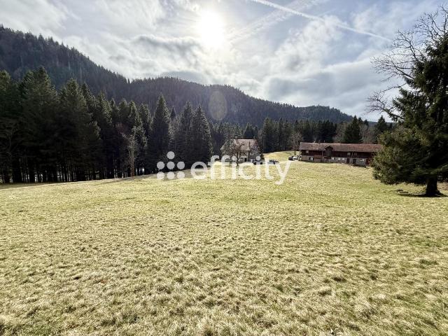 Demeure 500m² Xonrupt Longemer