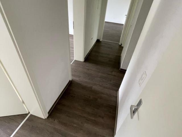 Demnächst frei! 4 Zimmer Wohnung in Gelsenkirchen Hassel