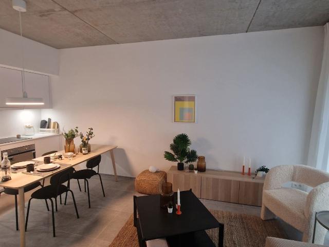 Den Dam 8D 2.02
