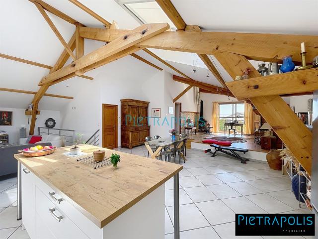 Denice 10 Min Villefranche Loft 170 M2 Hab Grand Garage 170m² Denicé