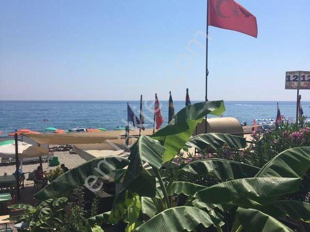 Denize 100 Metre | Oba'da Kentsel Dönüşüm Avantajlı 2+1 Geniş Daire