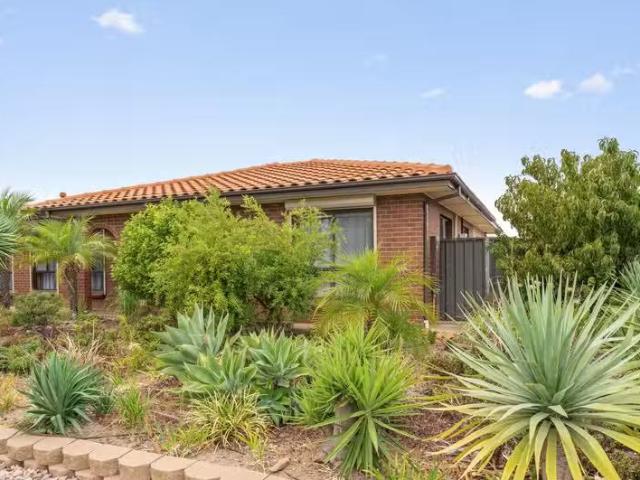New 1 Caulfield Drive, NORTH HAVEN, SA 5018 House for Rent