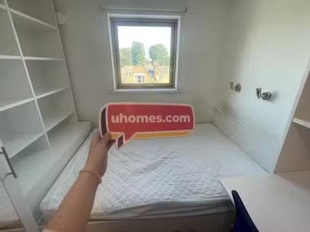 For Rent! 1 BR Academic House Bronze En Suite