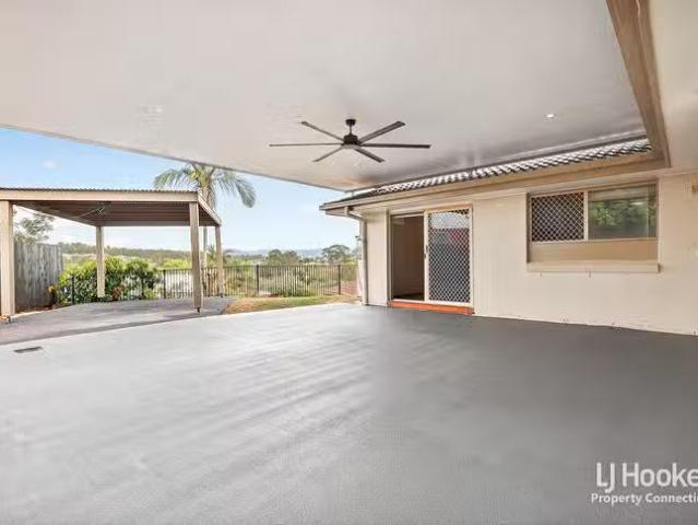 Cheap 24 Brighton Court, Albany Creek, QLD 4035