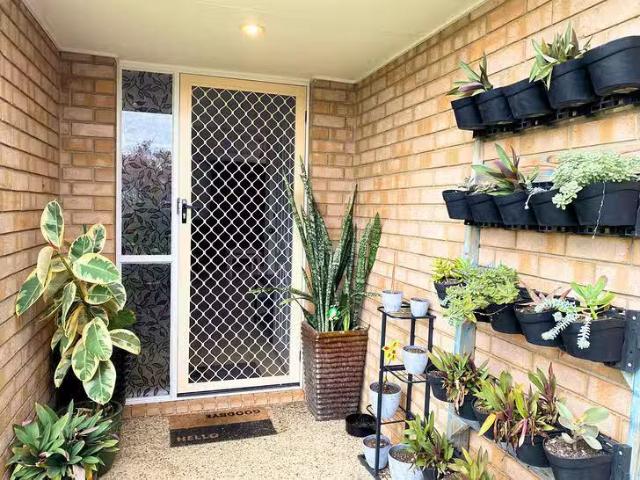 New 25 Wattle Crescent, Raceview, QLD 4305