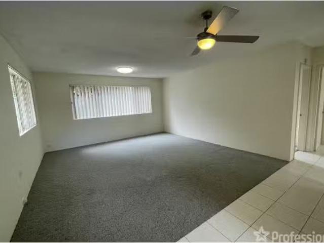 New 2/9 Baird Street, Tuncurry Apartment for rent Listed by P.