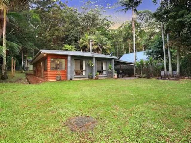 Just in! 2206 Springbrook Road, Springbrook, QLD 4213