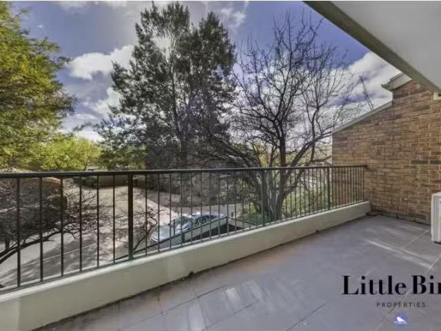 Cozy 37/44 Jerrabomberra Ave, Narrabundah Apartment for rent.