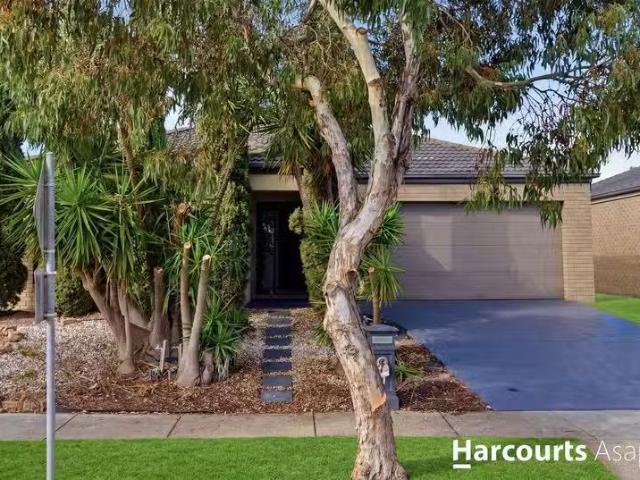 Cheap 3 BR 11 Springmount Street, CRANBOURNE NORTH, VIC 3977.
