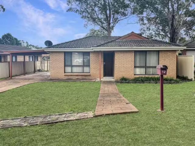 Rental! 3 BR 12 Dunbar Place, Mount Annan Property for rent L.