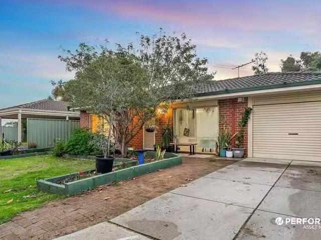 Just in! 3 BR 16 Wah Court, Atwell, WA 6164