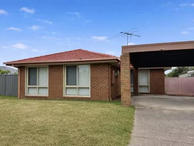Cozy 3 BR 6 Ashfield Drive, Berwick, VIC 3806 House for Rent